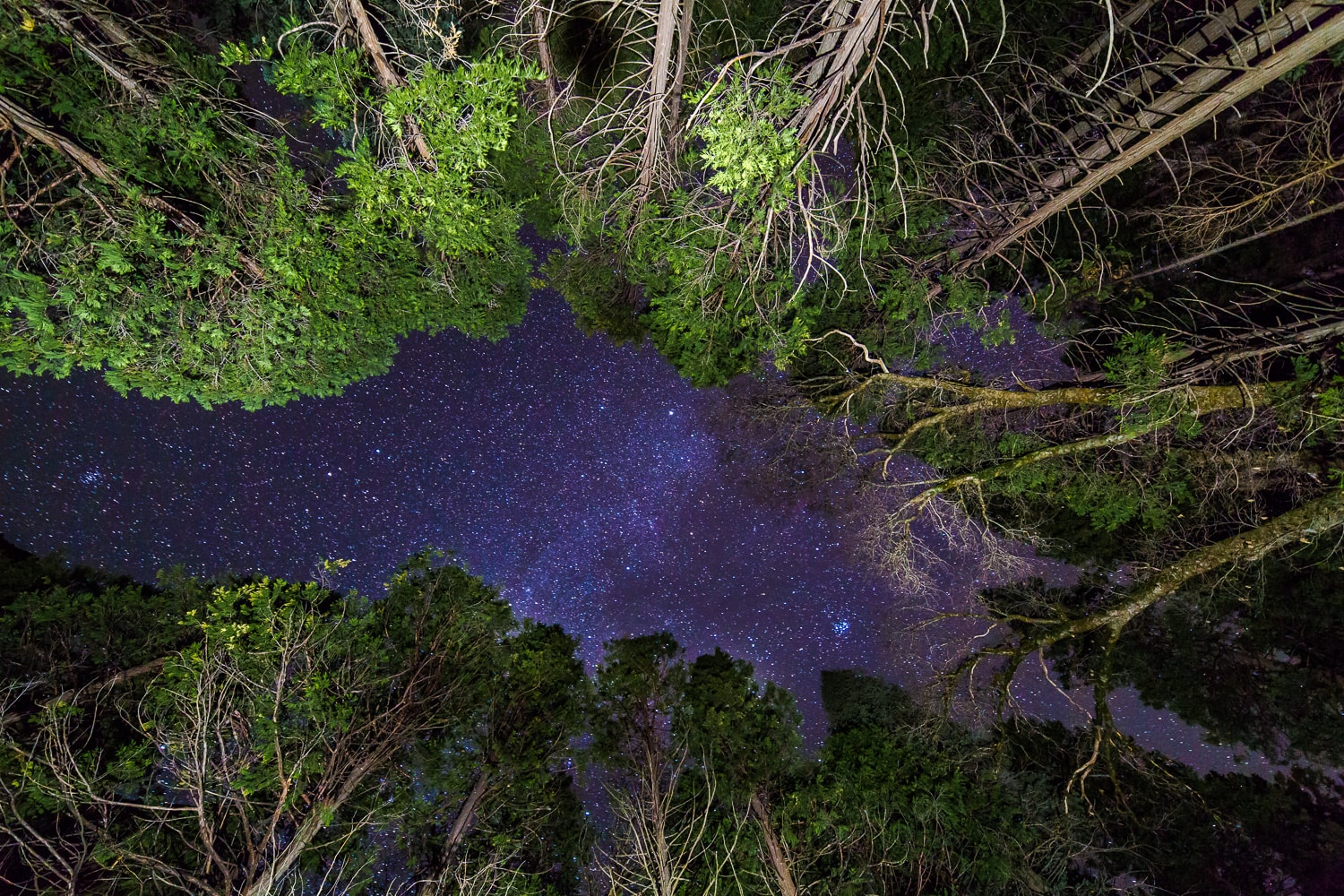 Night sky from Yosemite