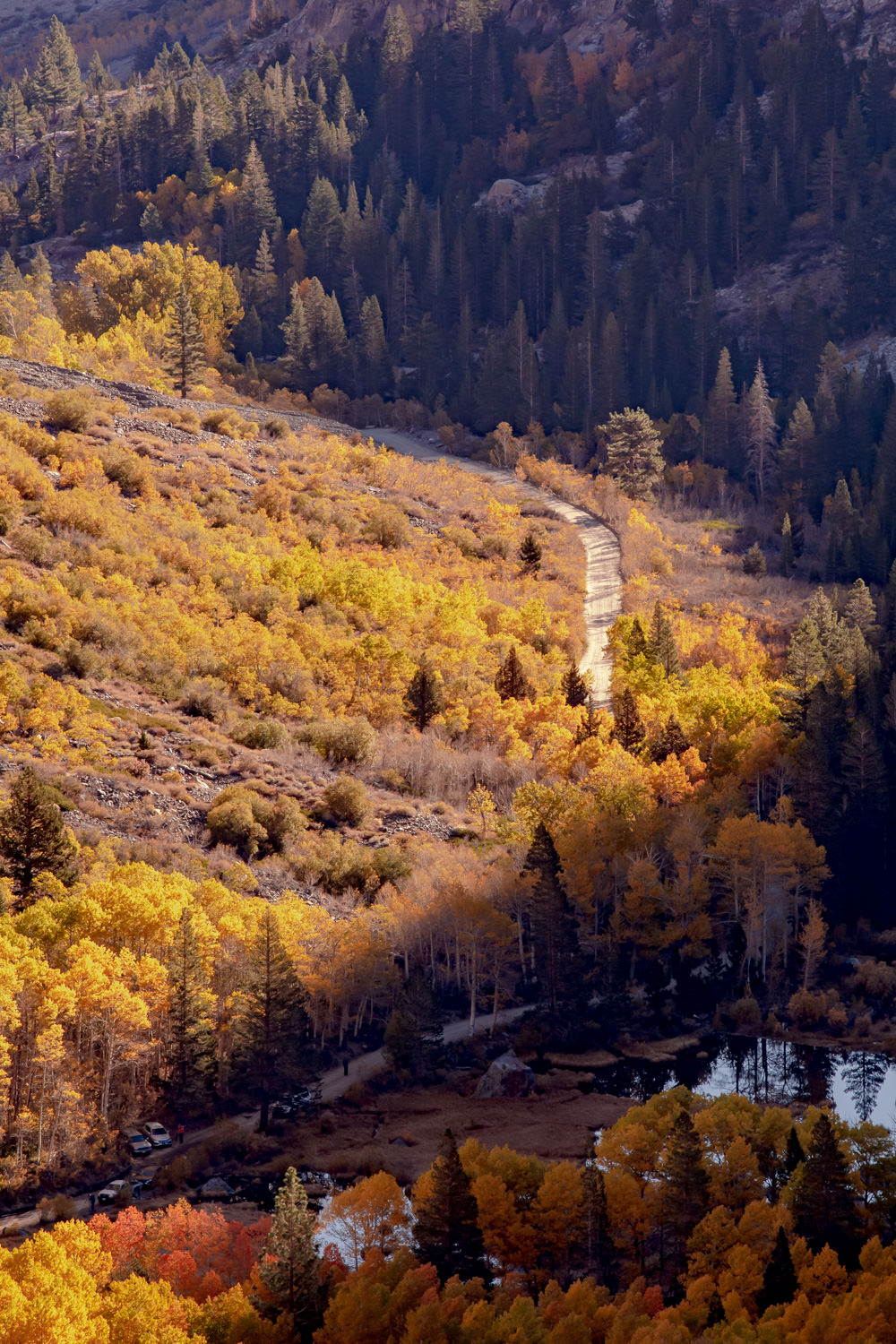 Lundy canyon road (October 2018)